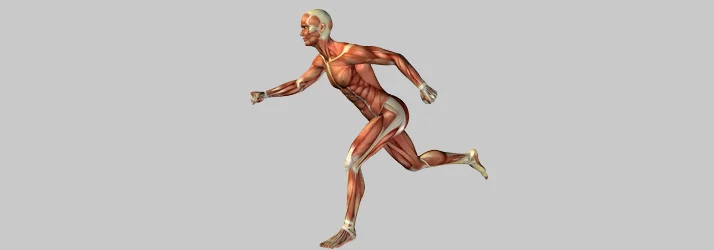 Flexibility, Recovery, and Healing Naturally